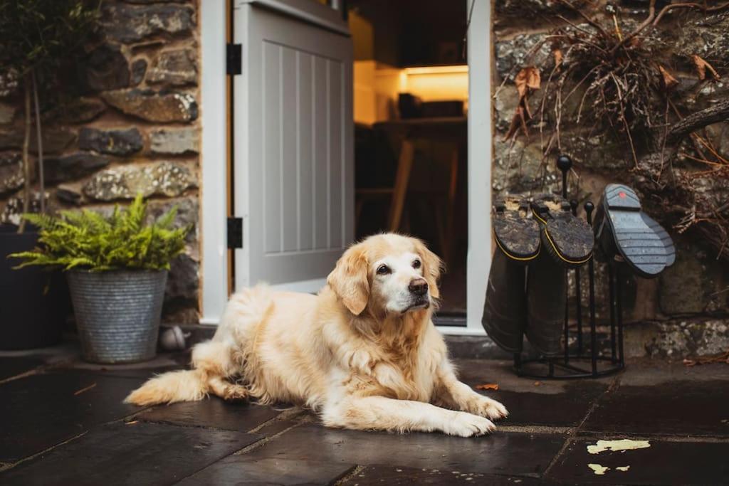 River Cottage, A Luxurious And Cosy Riverside Cottage For Two Welshpool Exterior photo